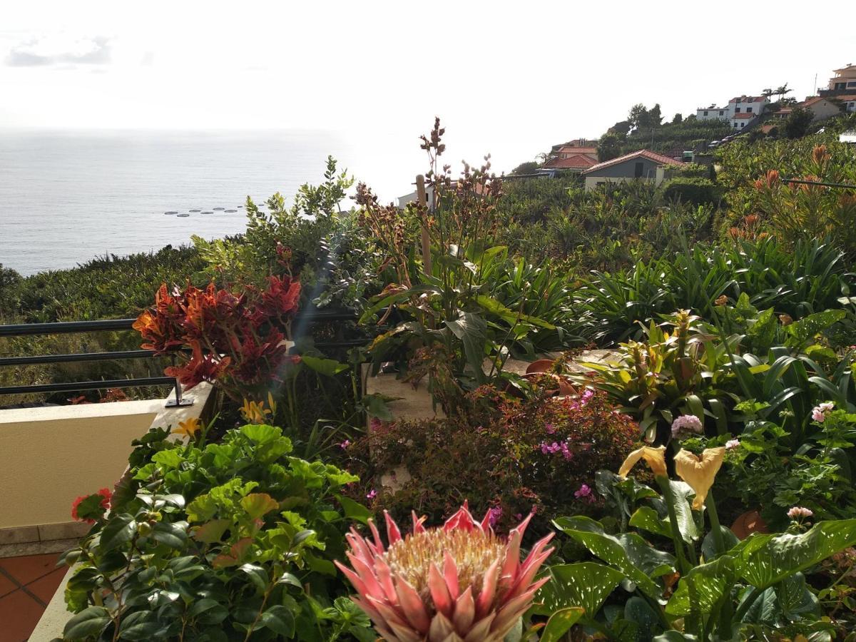 Jardim Do Arco "Esmee" Apartment Arco da Calheta  Ngoại thất bức ảnh