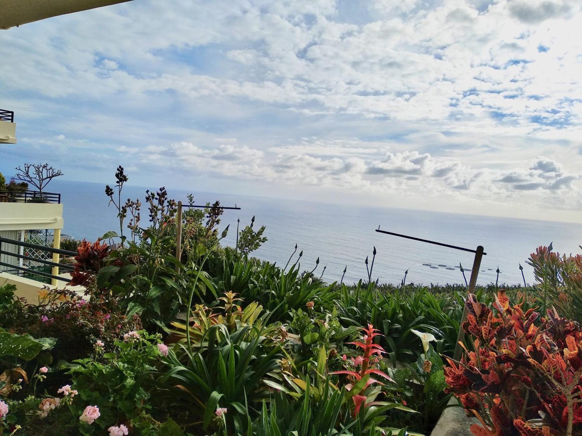 Jardim Do Arco "Esmee" Apartment Arco da Calheta  Ngoại thất bức ảnh
